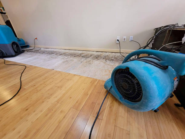 Professional Water Damage Repair technician working in Cannelton, IN